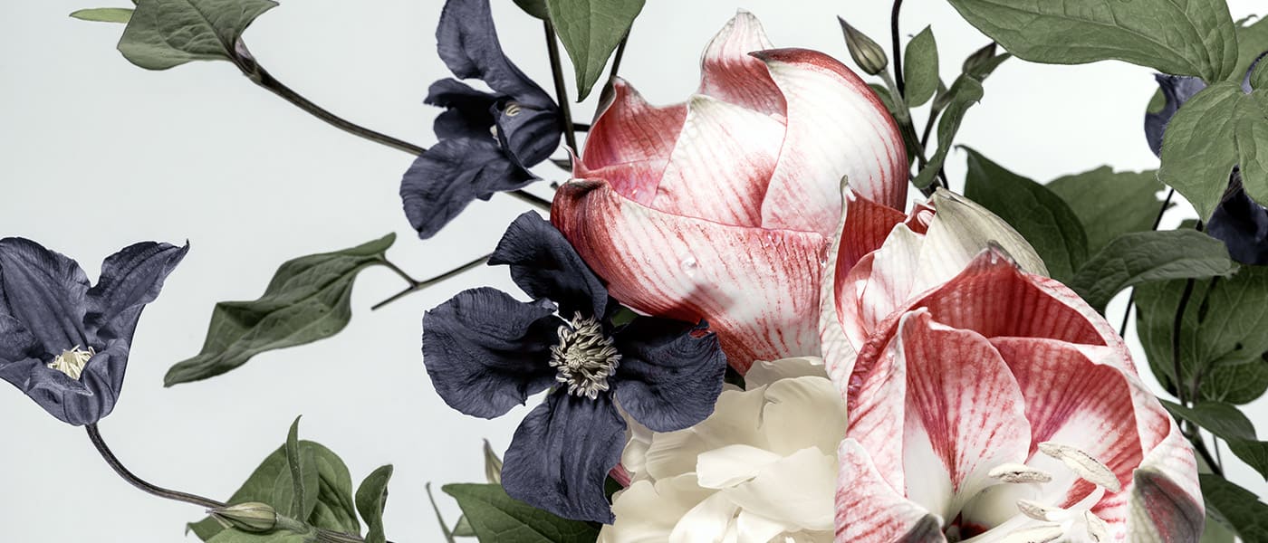 相談料のキャッシュレス決済を始めました